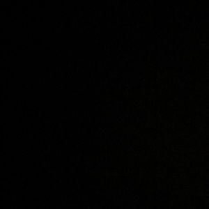 Meet your Posher, Penny